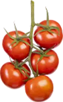Senserno