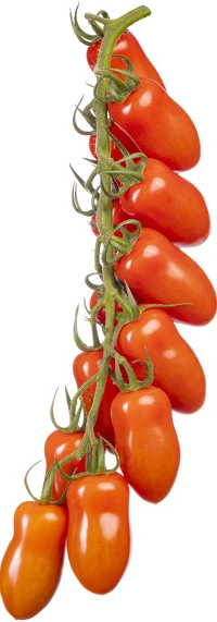 Deliziano