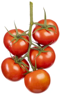 Senserno